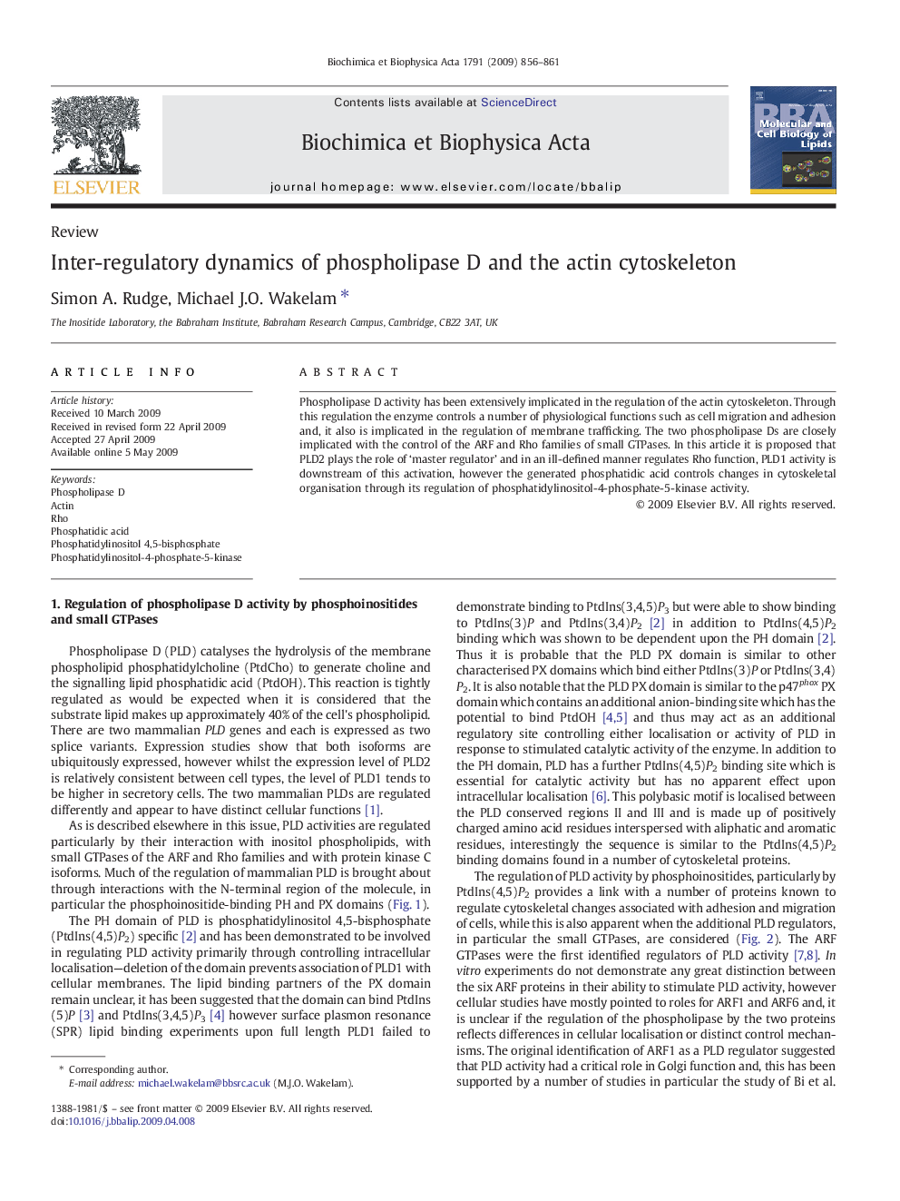 Inter-regulatory dynamics of phospholipase D and the actin cytoskeleton