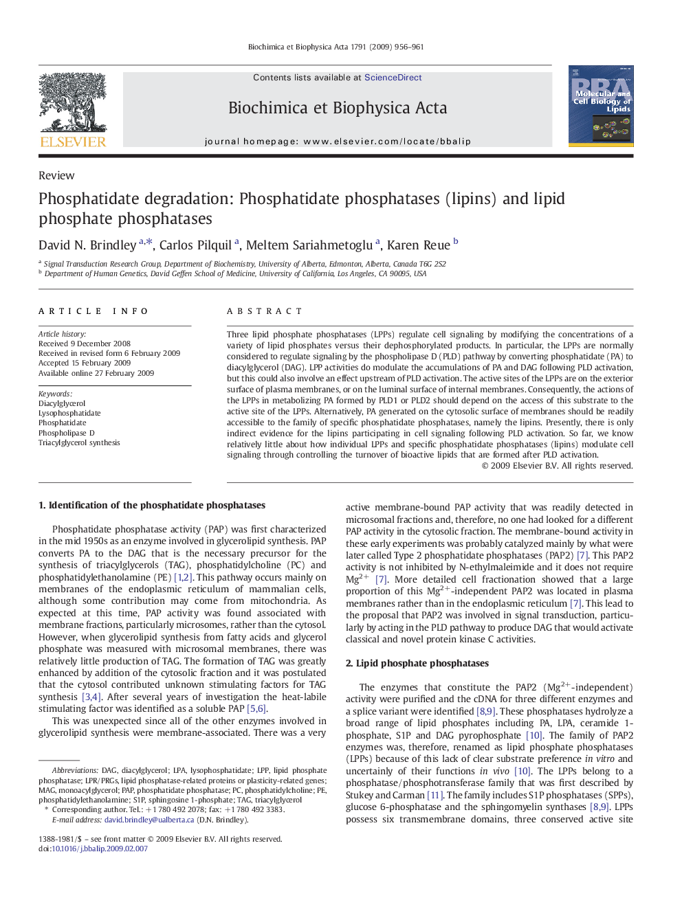 Phosphatidate degradation: Phosphatidate phosphatases (lipins) and lipid phosphate phosphatases