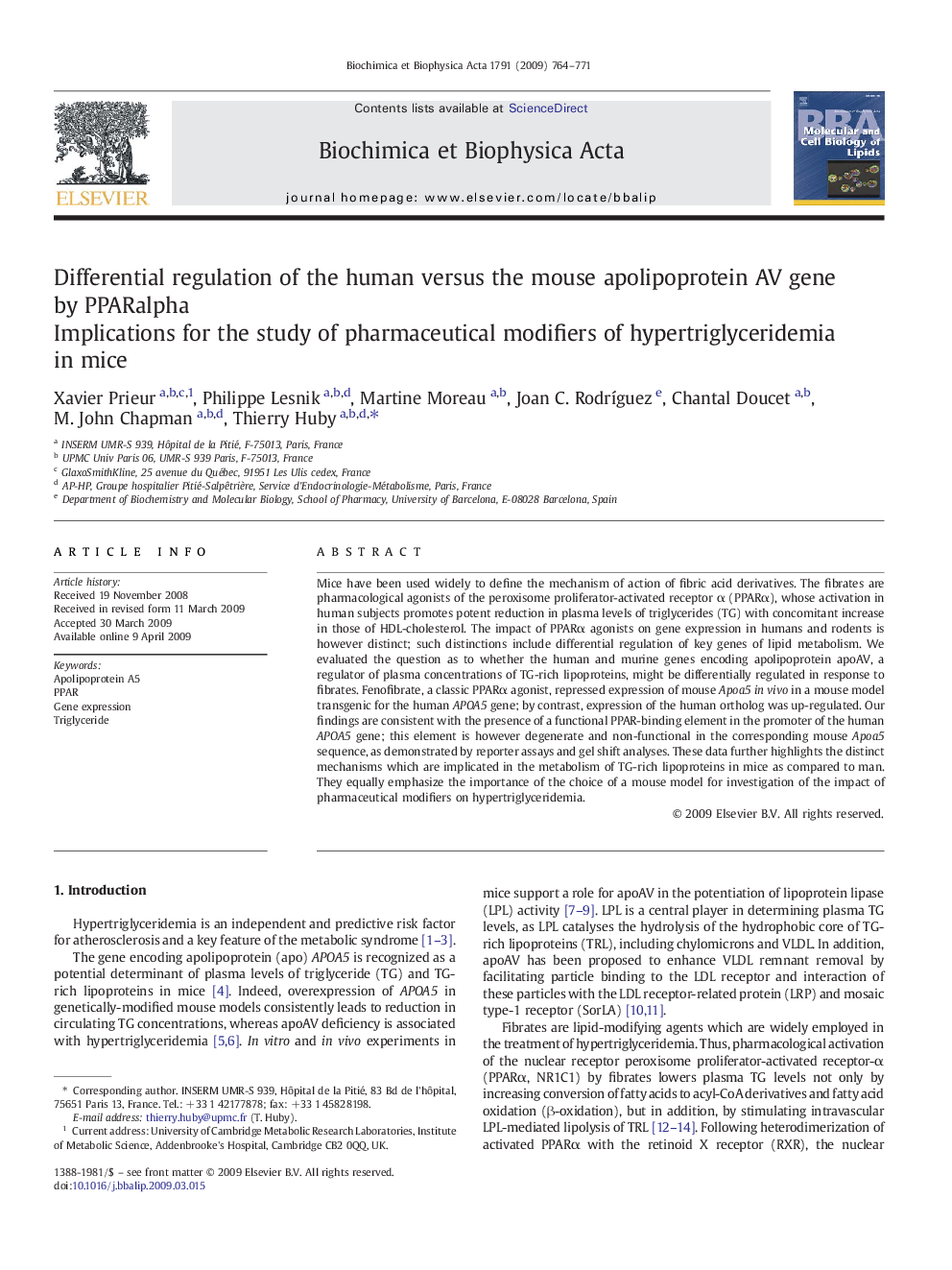 Differential regulation of the human versus the mouse apolipoprotein AV gene by PPARalpha