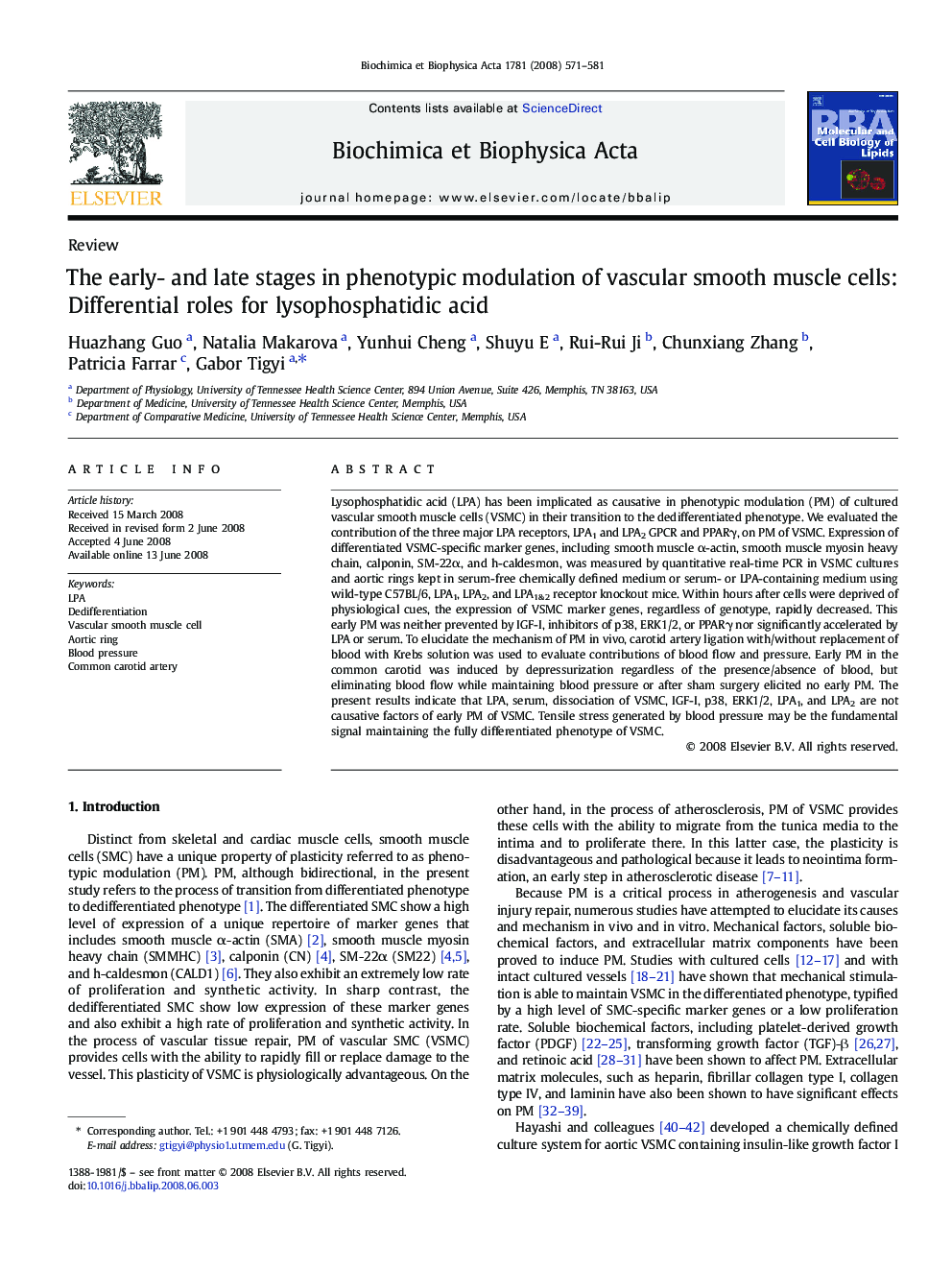 The early- and late stages in phenotypic modulation of vascular smooth muscle cells: Differential roles for lysophosphatidic acid