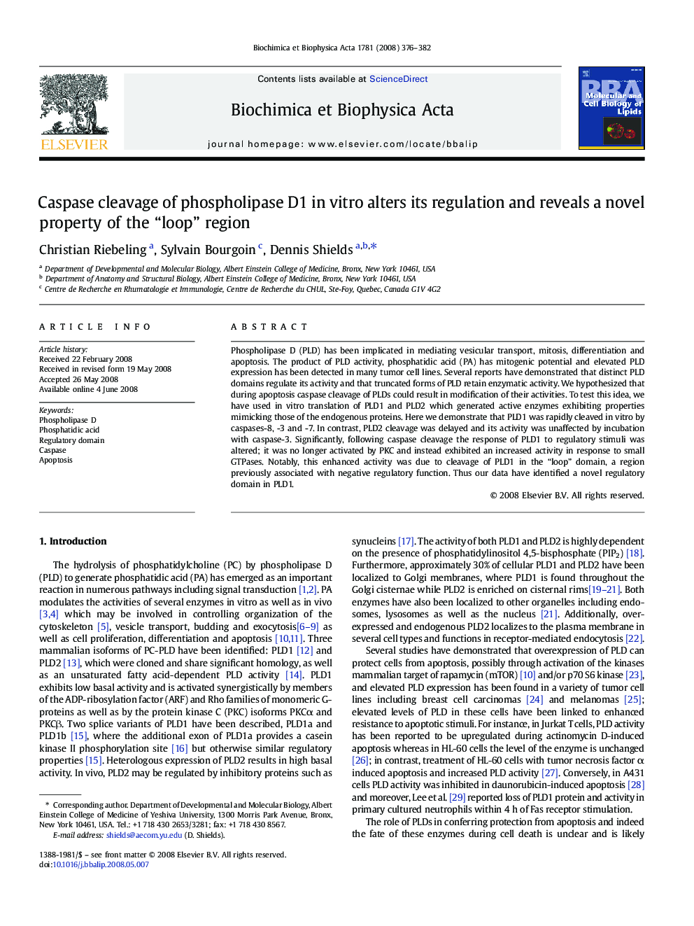 Caspase cleavage of phospholipase D1 in vitro alters its regulation and reveals a novel property of the “loop” region