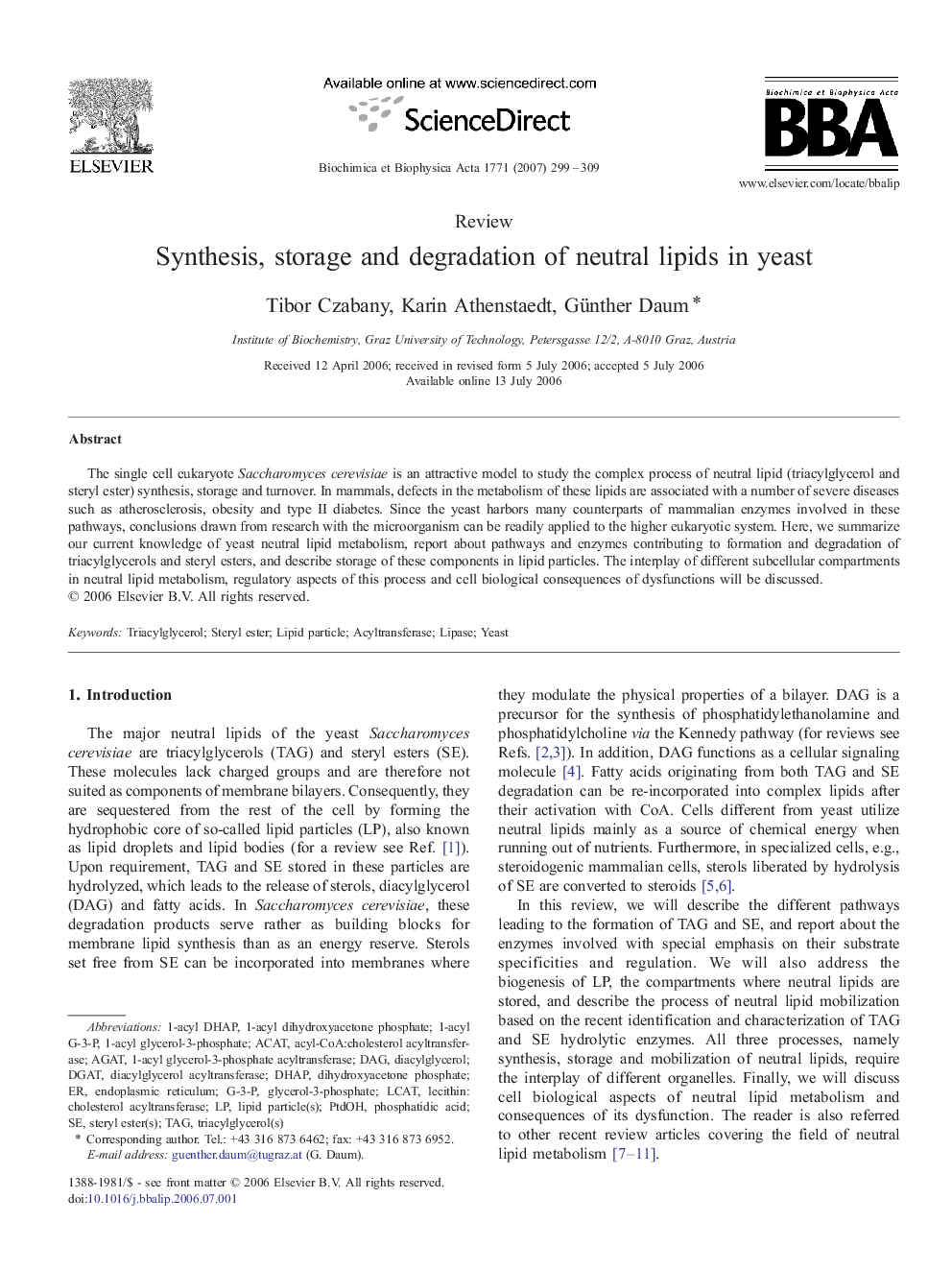 Synthesis, storage and degradation of neutral lipids in yeast