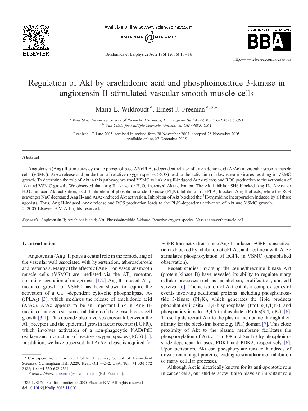 Regulation of Akt by arachidonic acid and phosphoinositide 3-kinase in angiotensin II-stimulated vascular smooth muscle cells