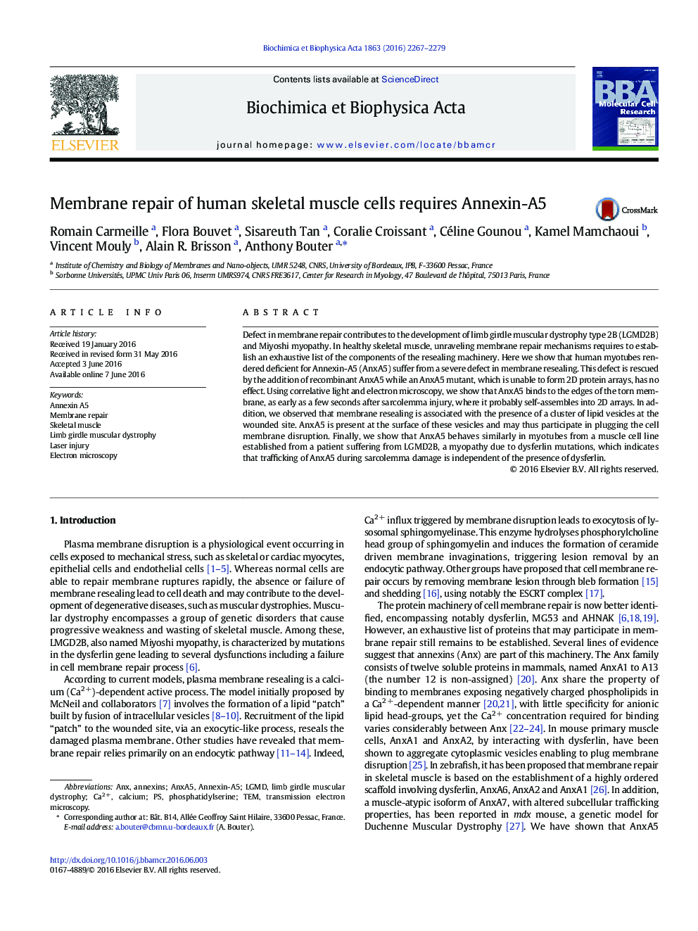 Membrane repair of human skeletal muscle cells requires Annexin-A5