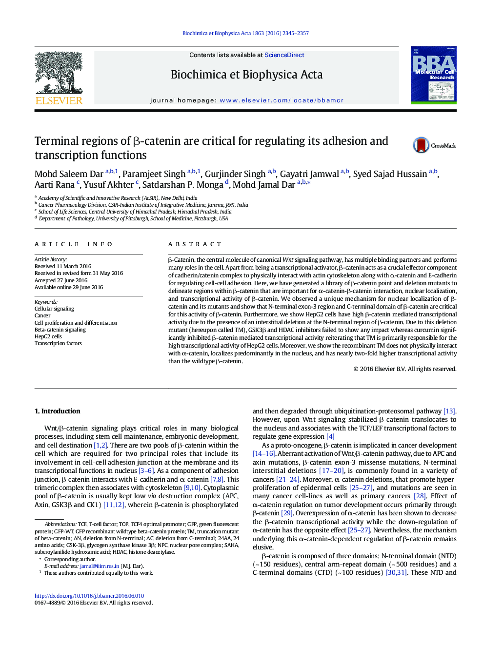 Terminal regions of β-catenin are critical for regulating its adhesion and transcription functions