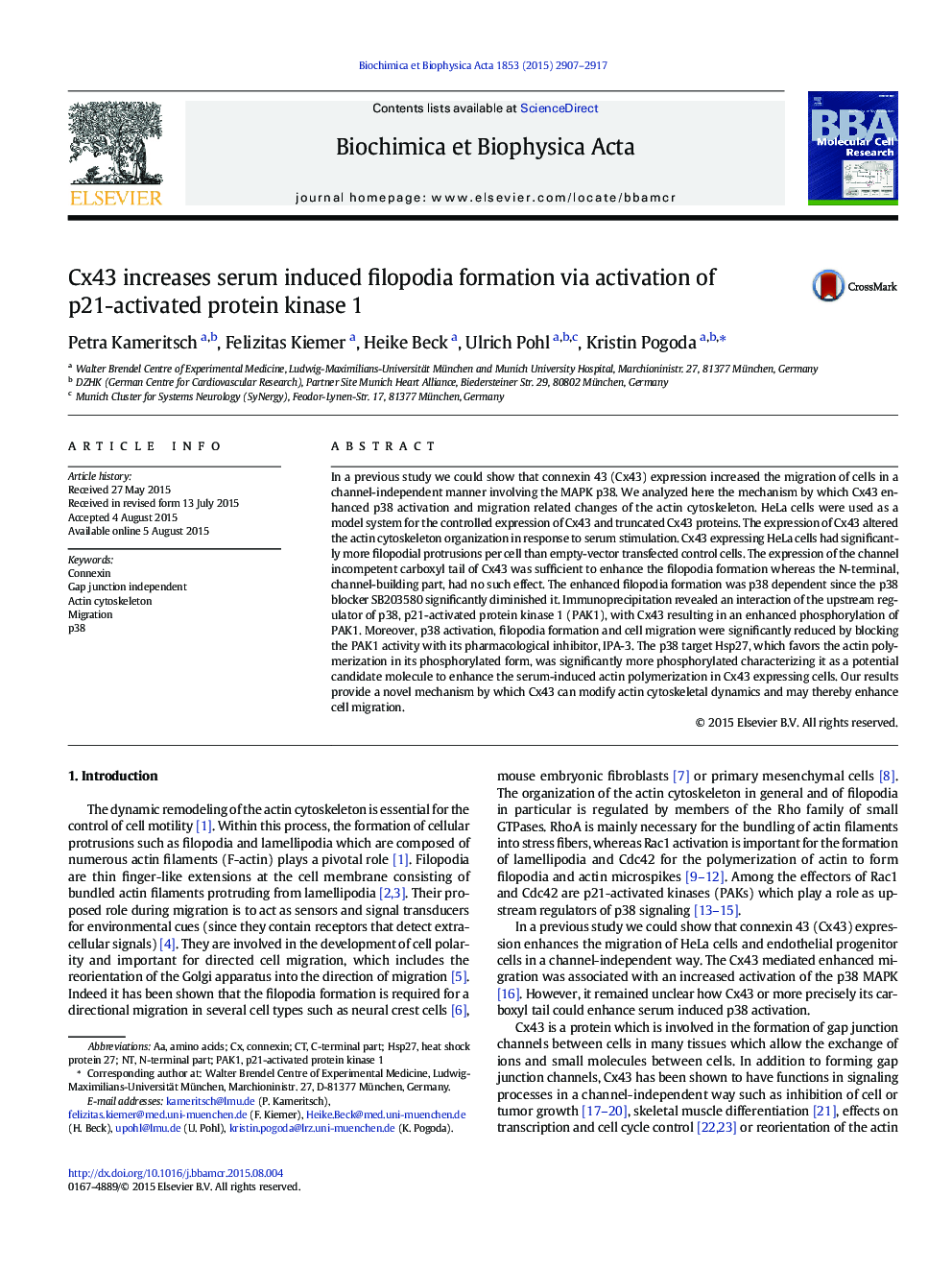 Cx43 increases serum induced filopodia formation via activation of p21-activated protein kinase 1