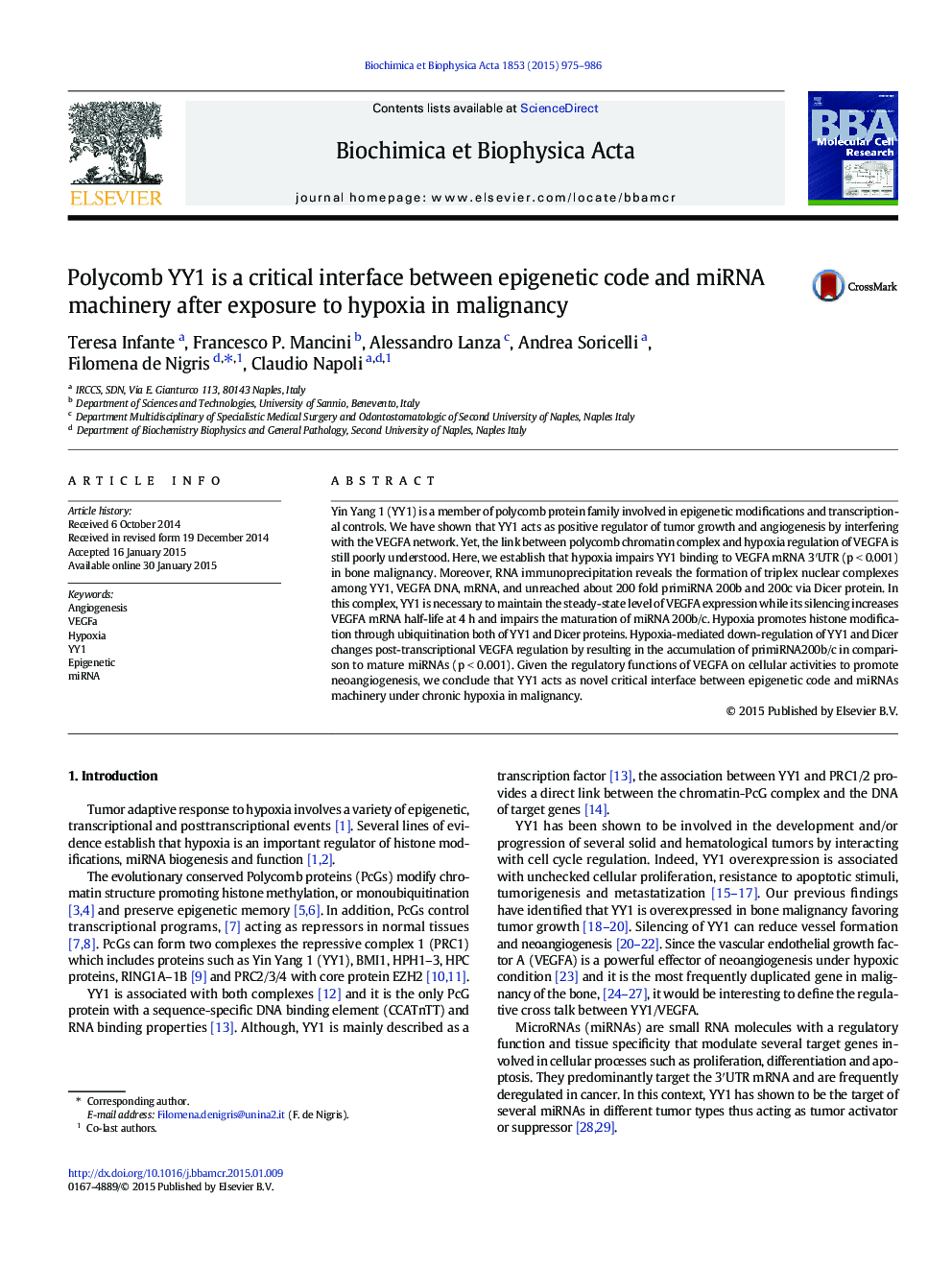 Polycomb YY1 is a critical interface between epigenetic code and miRNA machinery after exposure to hypoxia in malignancy