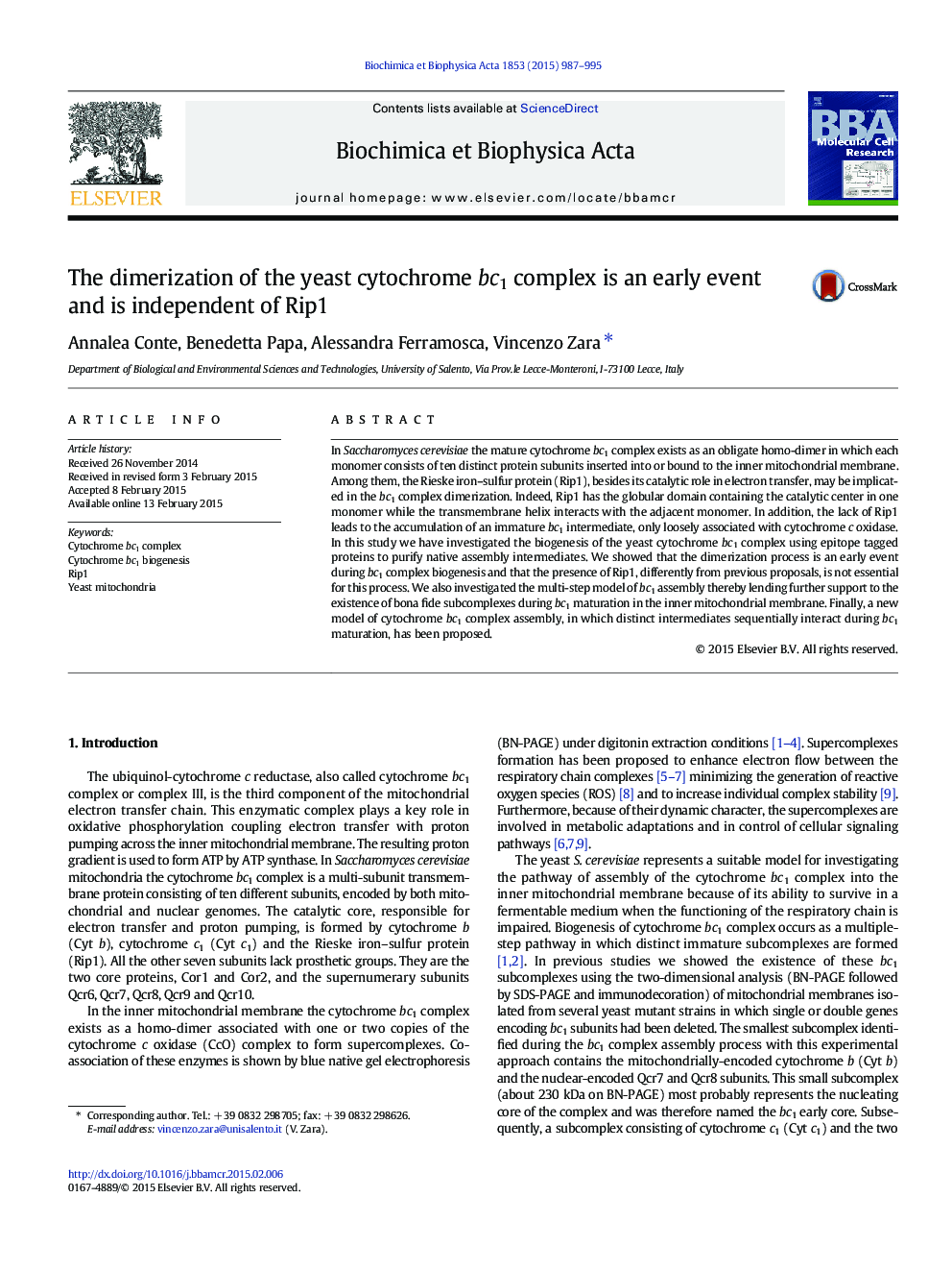 The dimerization of the yeast cytochrome bc1 complex is an early event and is independent of Rip1