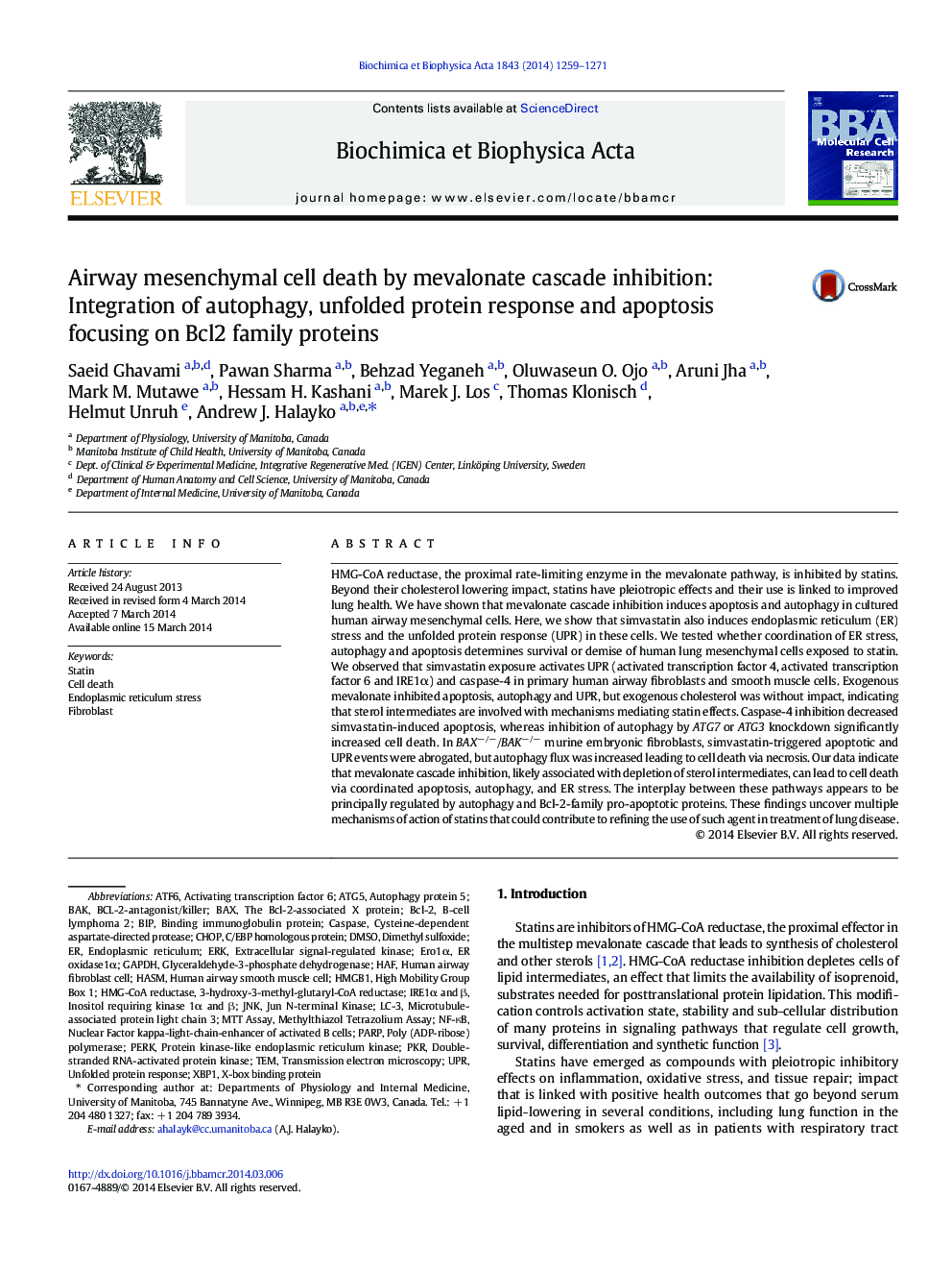 Airway mesenchymal cell death by mevalonate cascade inhibition: Integration of autophagy, unfolded protein response and apoptosis focusing on Bcl2 family proteins