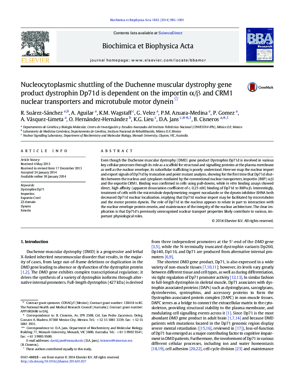 Nucleocytoplasmic shuttling of the Duchenne muscular dystrophy gene product dystrophin Dp71d is dependent on the importin α/β and CRM1 nuclear transporters and microtubule motor dynein 