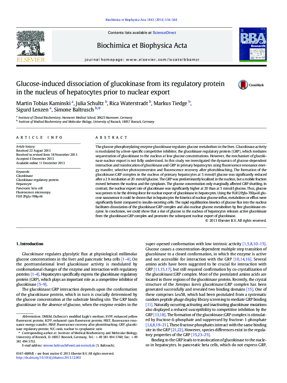 Glucose-induced dissociation of glucokinase from its regulatory protein in the nucleus of hepatocytes prior to nuclear export