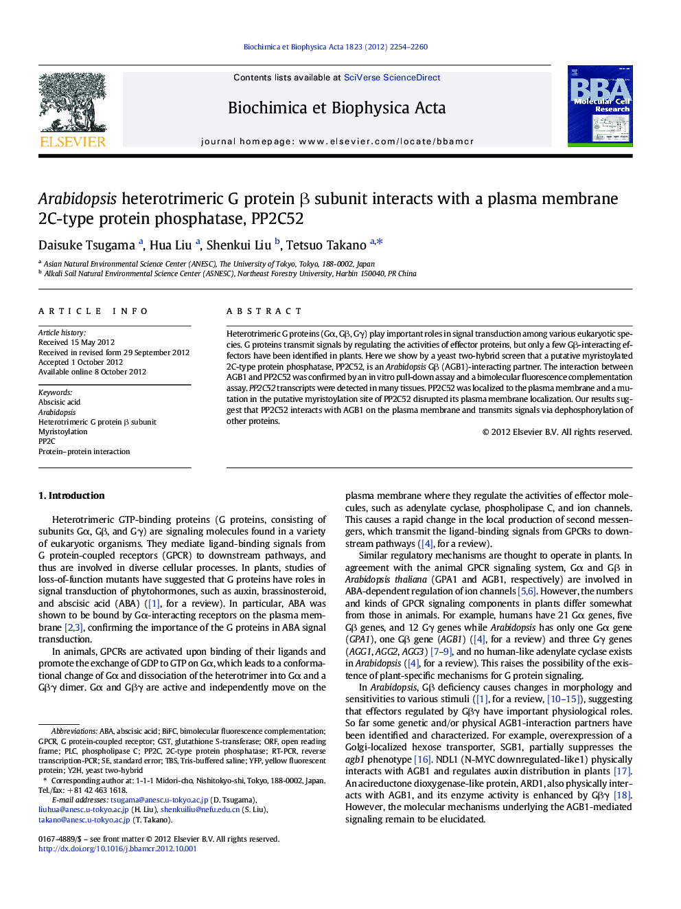 Arabidopsis heterotrimeric G protein β subunit interacts with a plasma membrane 2C-type protein phosphatase, PP2C52