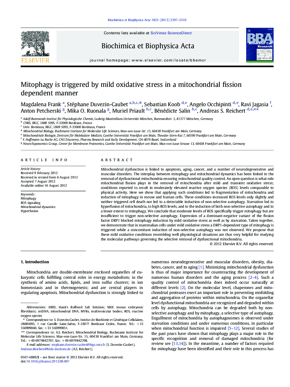 Mitophagy is triggered by mild oxidative stress in a mitochondrial fission dependent manner