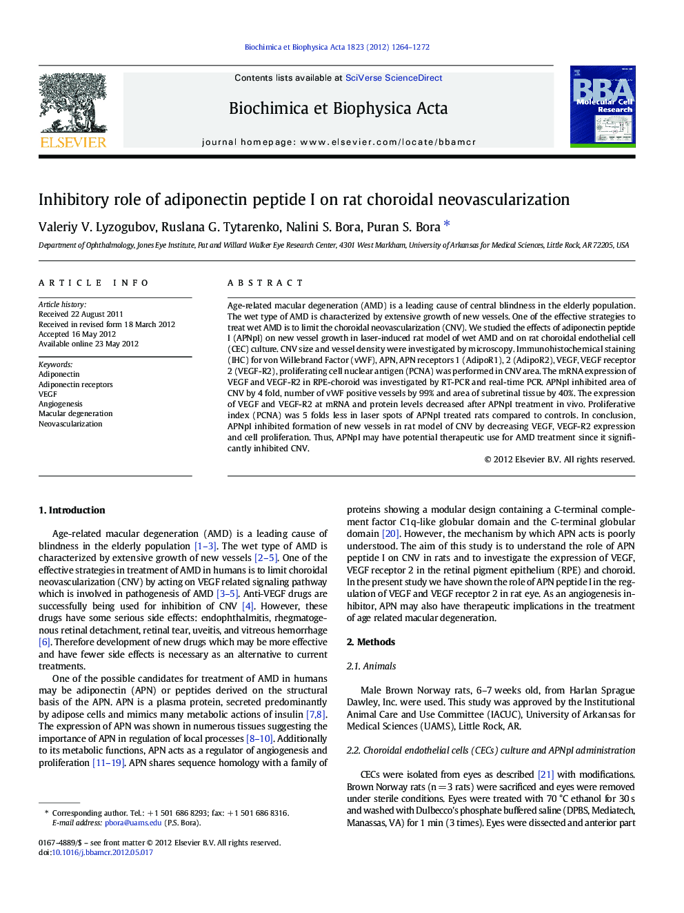 Inhibitory role of adiponectin peptide I on rat choroidal neovascularization