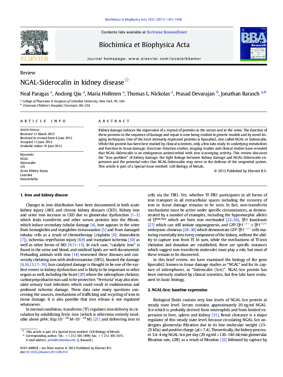 NGAL-Siderocalin in kidney disease 