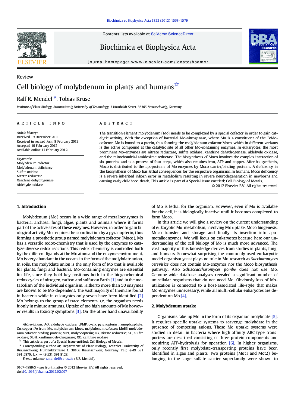 Cell biology of molybdenum in plants and humans 