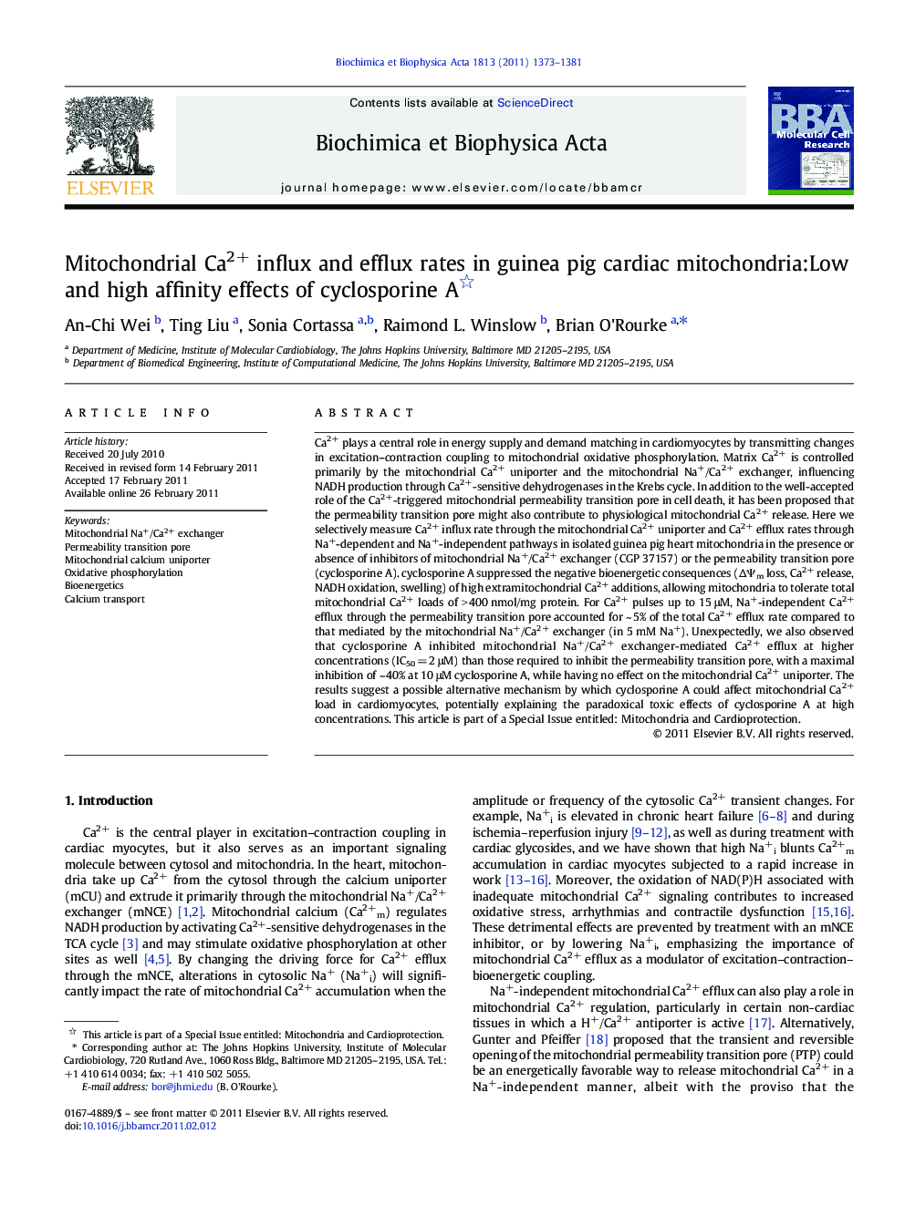 Mitochondrial Ca2+ influx and efflux rates in guinea pig cardiac mitochondria:Low and high affinity effects of cyclosporine A 