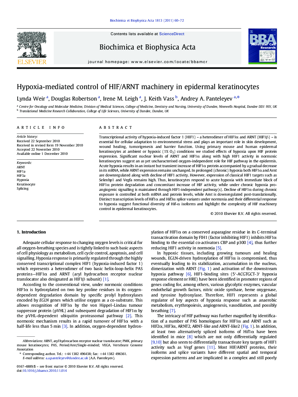 Hypoxia-mediated control of HIF/ARNT machinery in epidermal keratinocytes