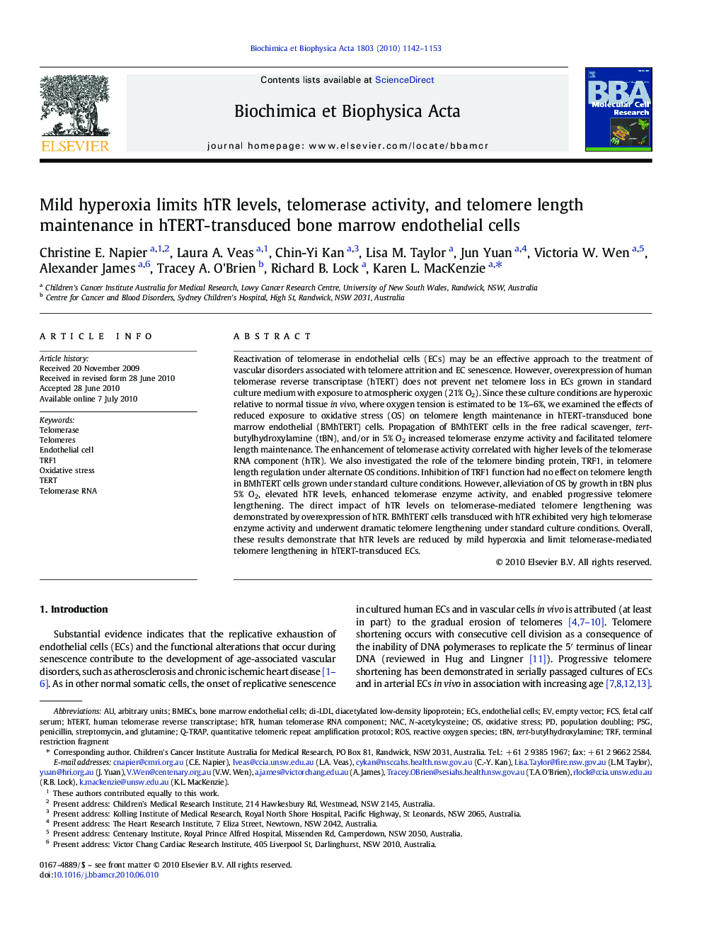 Mild hyperoxia limits hTR levels, telomerase activity, and telomere length maintenance in hTERT-transduced bone marrow endothelial cells