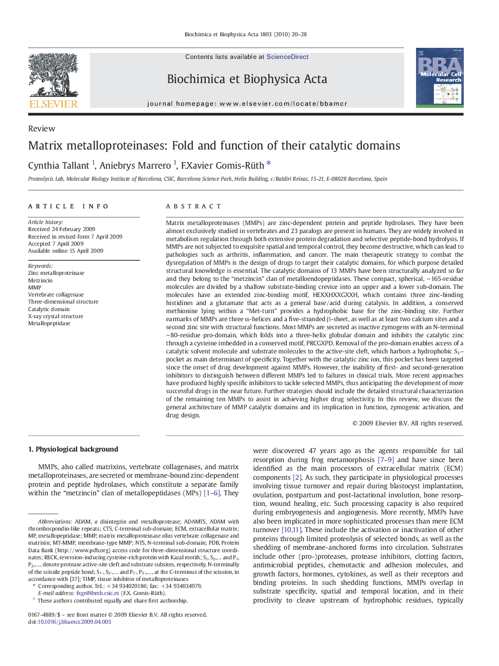 Matrix metalloproteinases: Fold and function of their catalytic domains