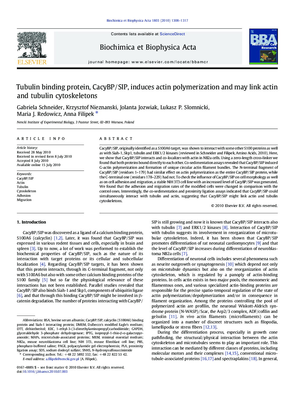 Tubulin binding protein, CacyBP/SIP, induces actin polymerization and may link actin and tubulin cytoskeletons