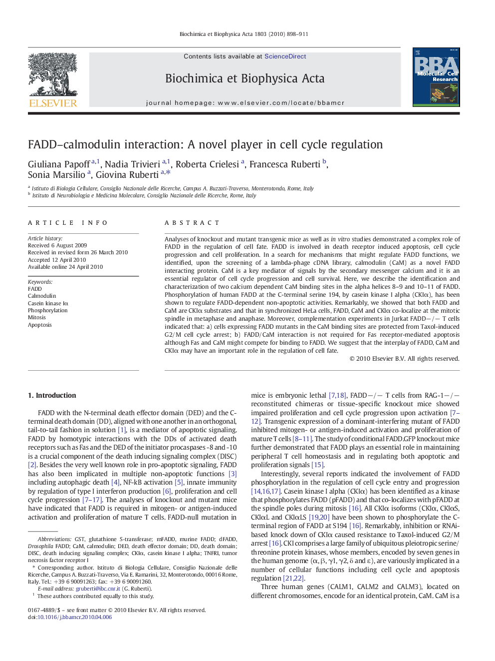 FADD–calmodulin interaction: A novel player in cell cycle regulation