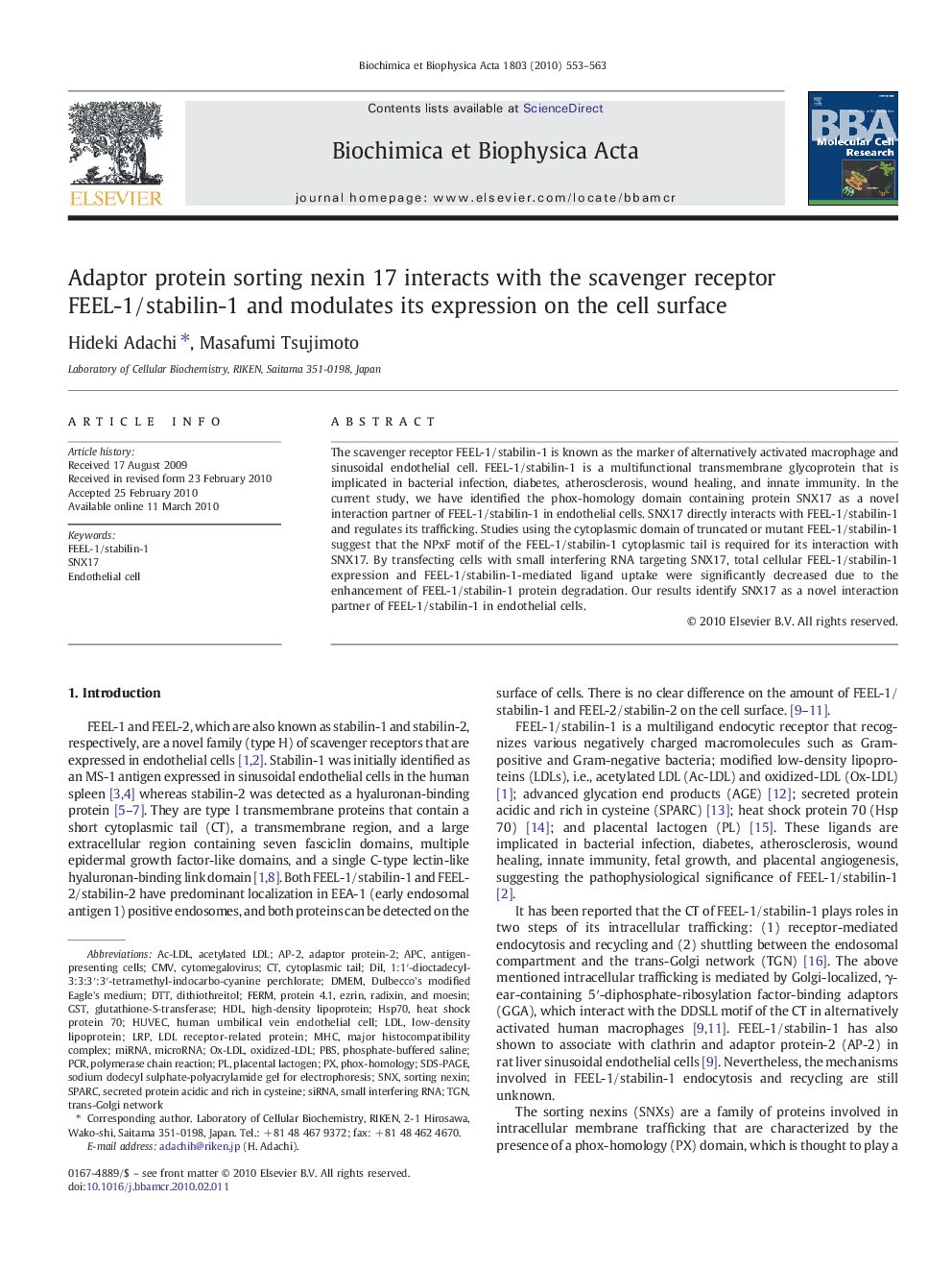 Adaptor protein sorting nexin 17 interacts with the scavenger receptor FEEL-1/stabilin-1 and modulates its expression on the cell surface