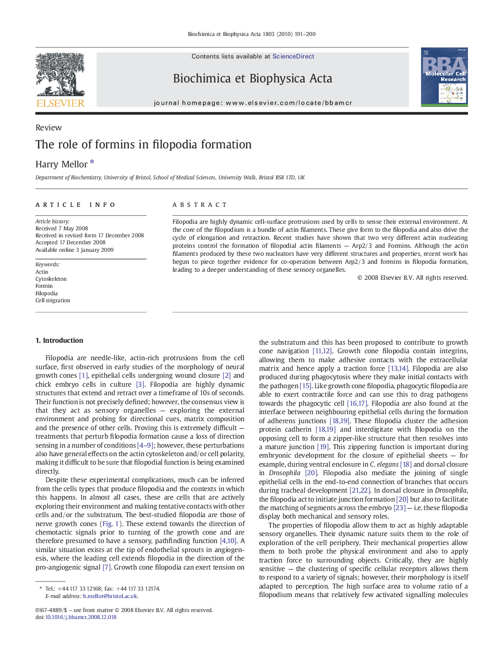 The role of formins in filopodia formation