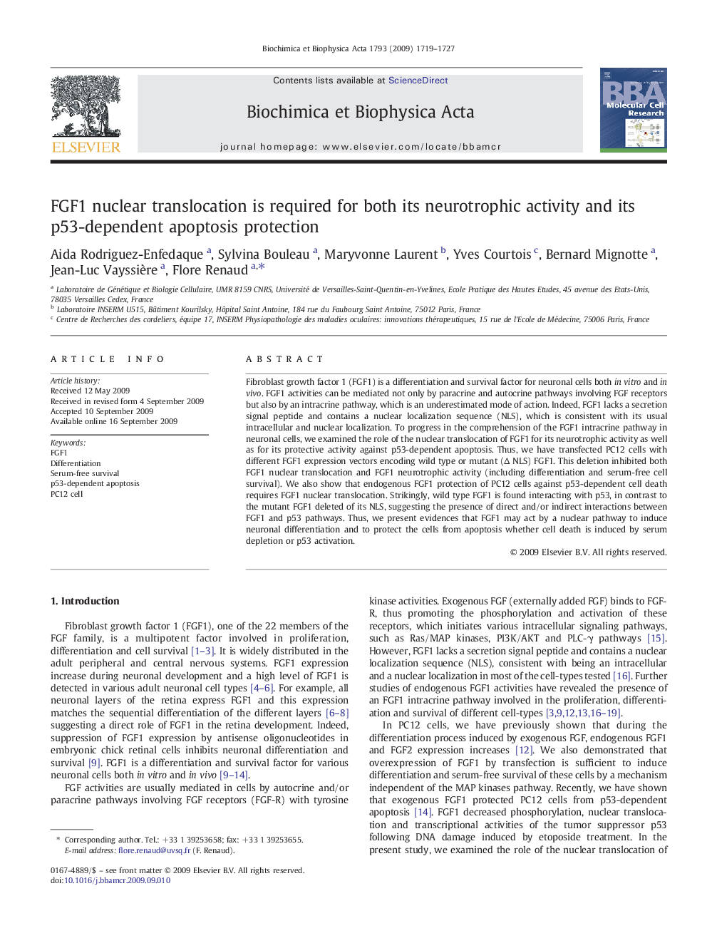 FGF1 nuclear translocation is required for both its neurotrophic activity and its p53-dependent apoptosis protection