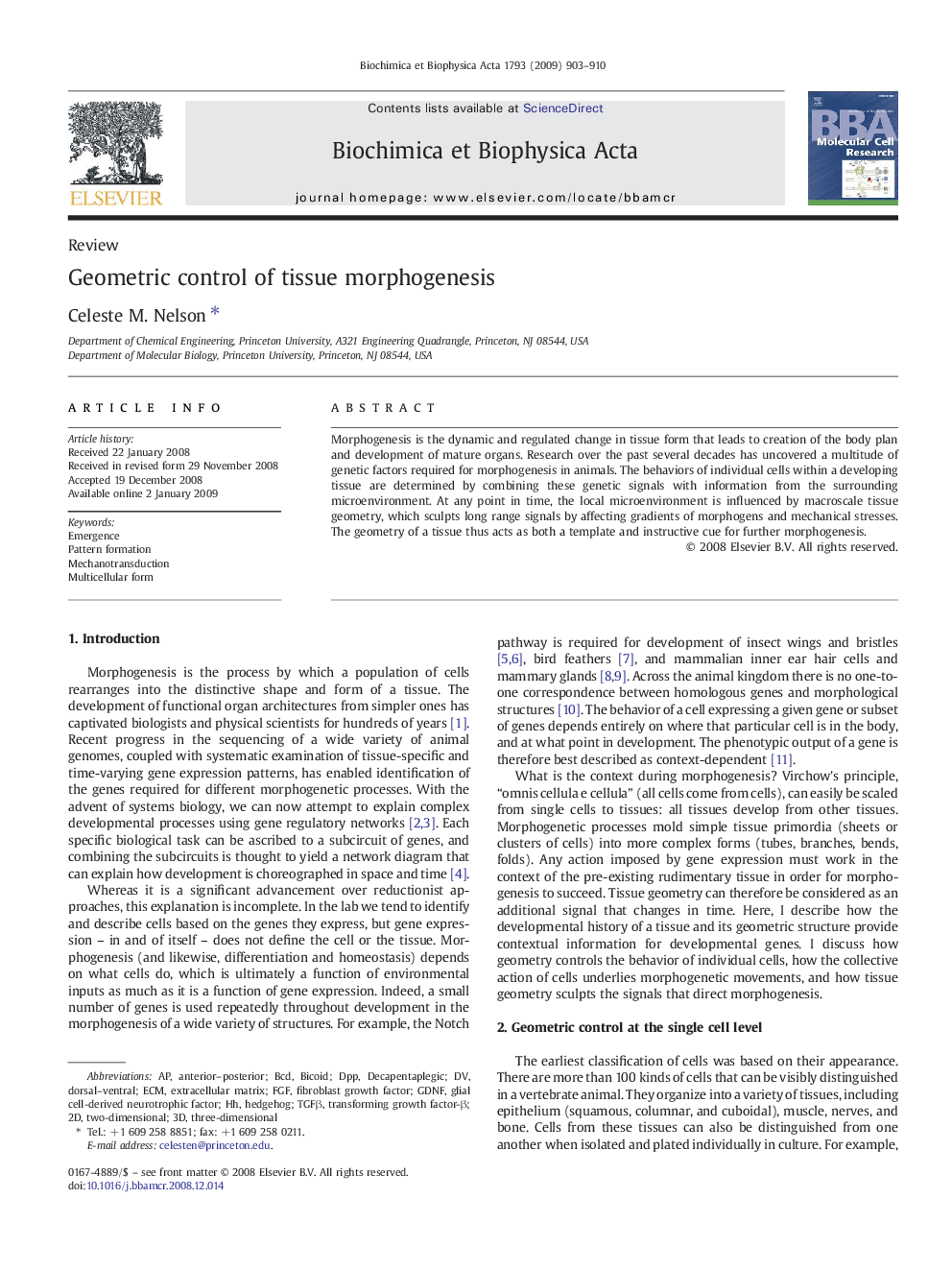 Geometric control of tissue morphogenesis