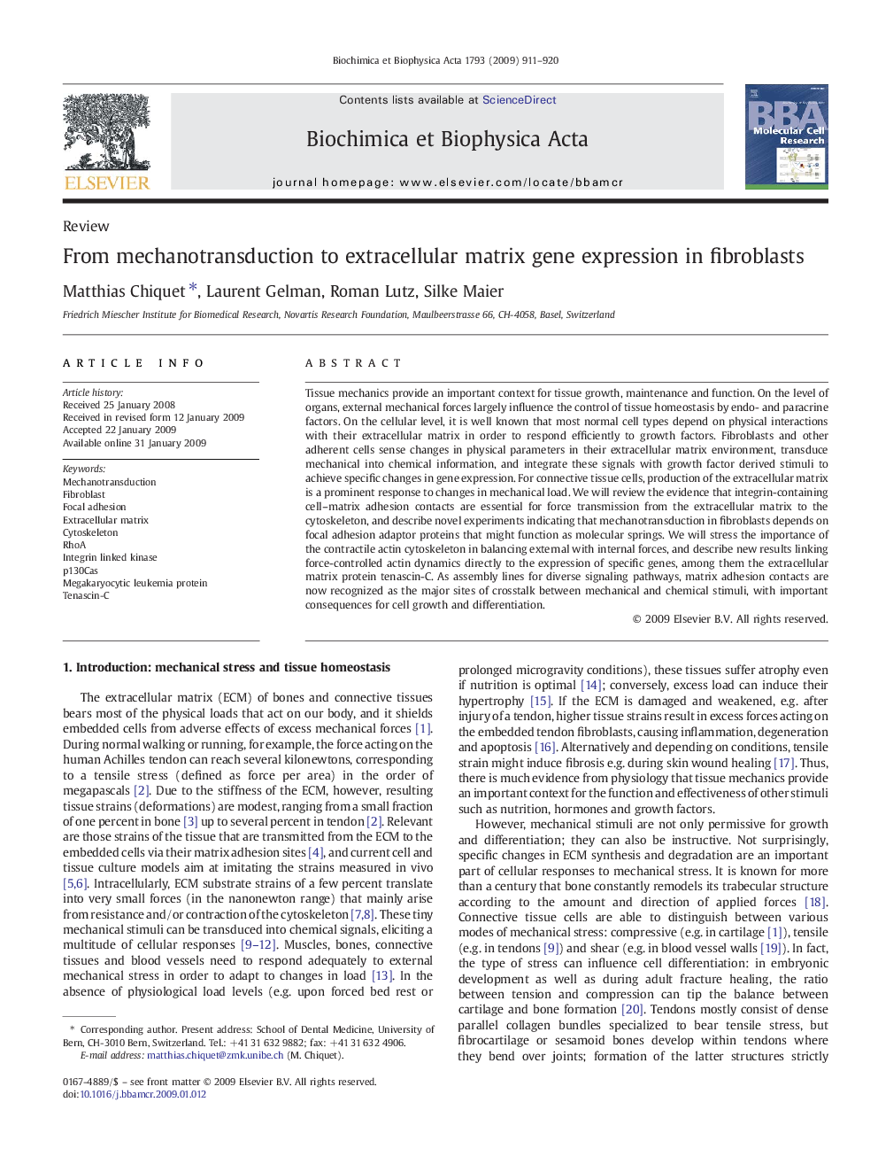 From mechanotransduction to extracellular matrix gene expression in fibroblasts