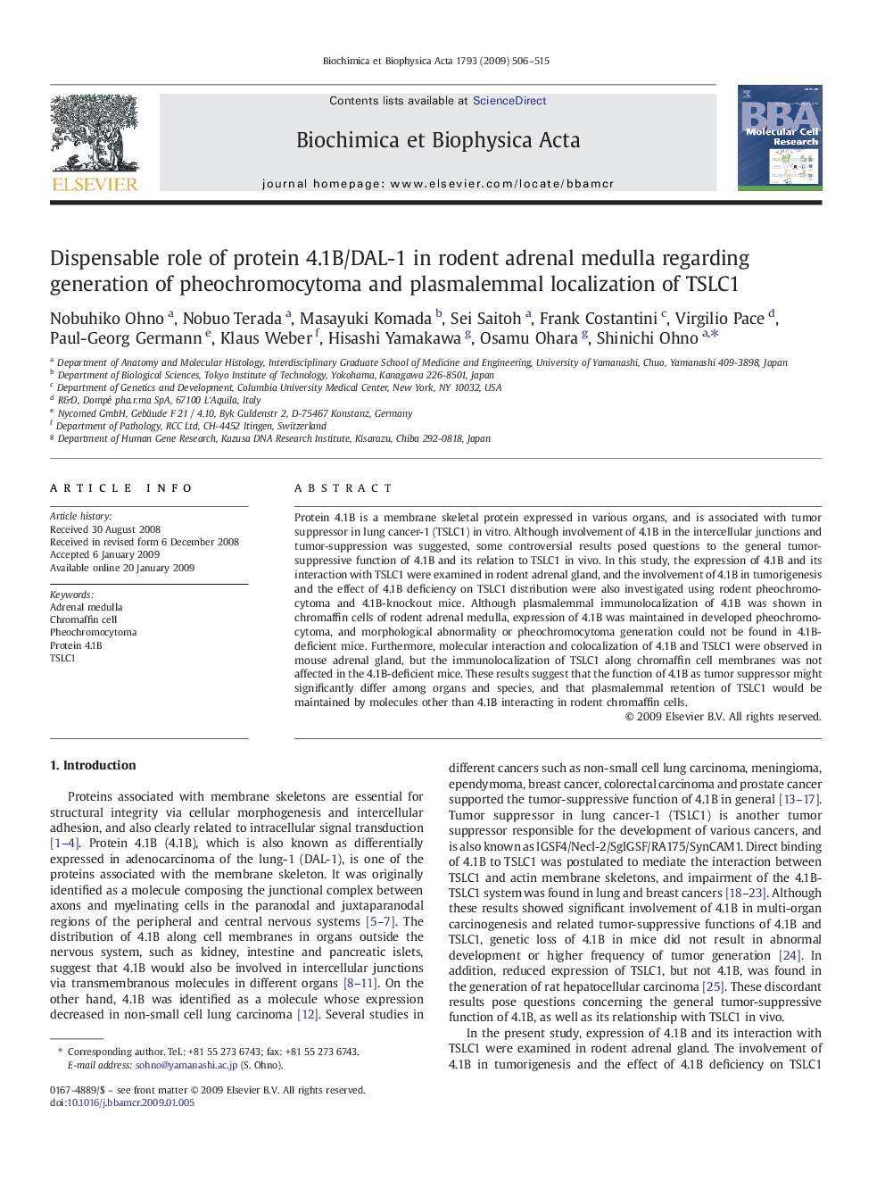 Dispensable role of protein 4.1B/DAL-1 in rodent adrenal medulla regarding generation of pheochromocytoma and plasmalemmal localization of TSLC1