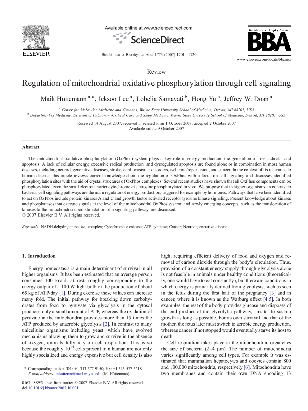 Regulation of mitochondrial oxidative phosphorylation through cell signaling