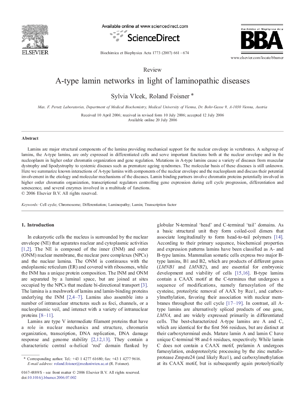 A-type lamin networks in light of laminopathic diseases