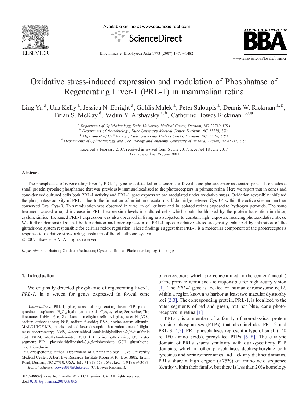 Oxidative stress-induced expression and modulation of Phosphatase of Regenerating Liver-1 (PRL-1) in mammalian retina