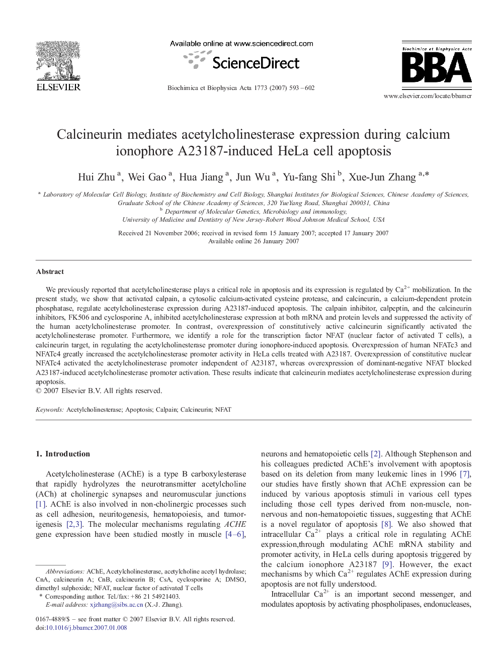 Calcineurin mediates acetylcholinesterase expression during calcium ionophore A23187-induced HeLa cell apoptosis