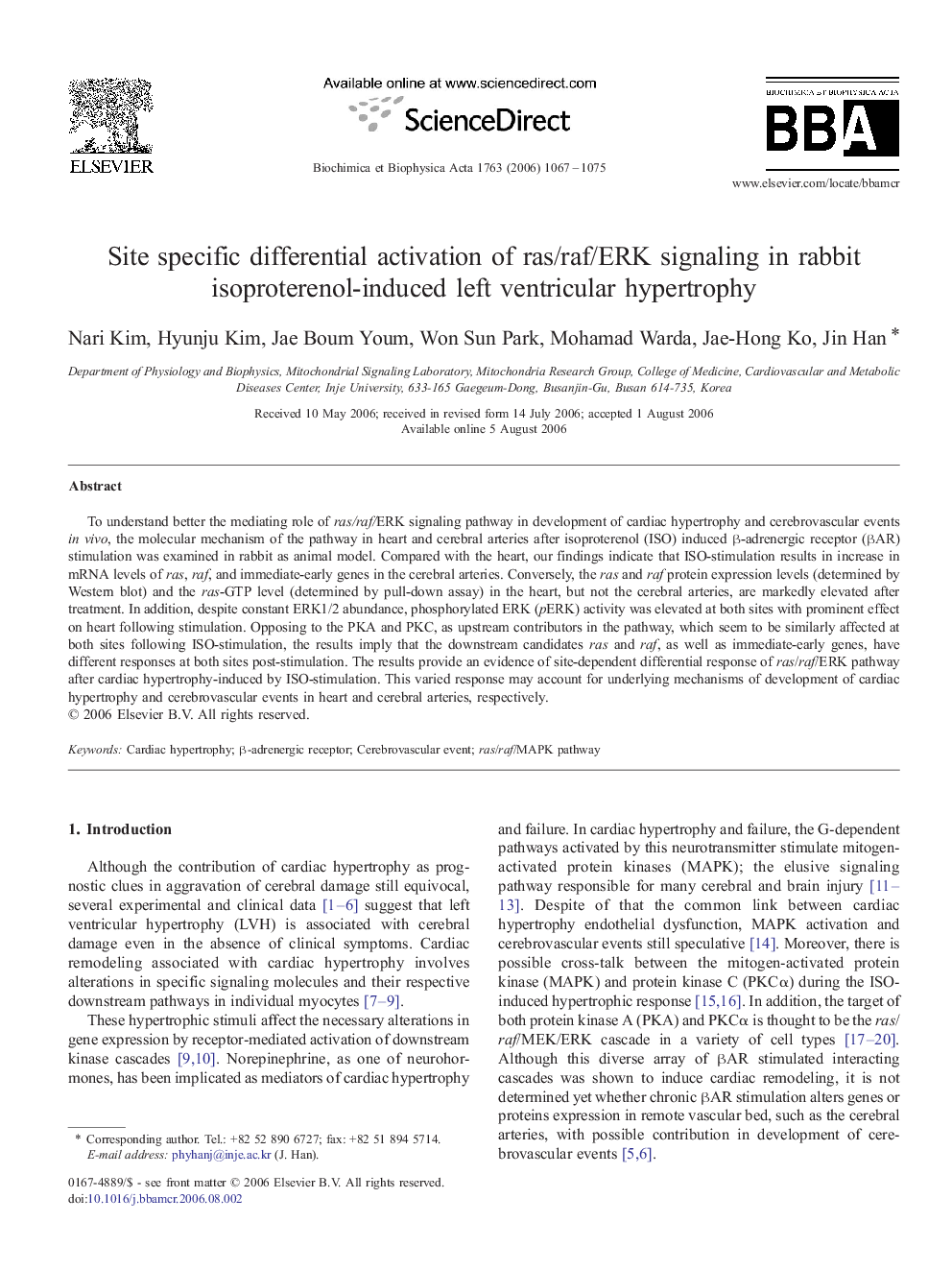 Site specific differential activation of ras/raf/ERK signaling in rabbit isoproterenol-induced left ventricular hypertrophy