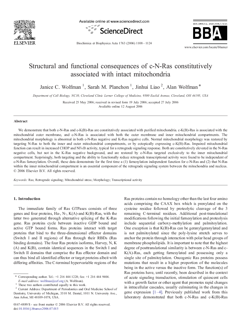 Structural and functional consequences of c-N-Ras constitutively associated with intact mitochondria