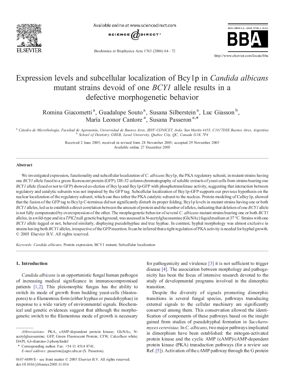 Expression levels and subcellular localization of Bcy1p in Candida albicans mutant strains devoid of one BCY1 allele results in a defective morphogenetic behavior