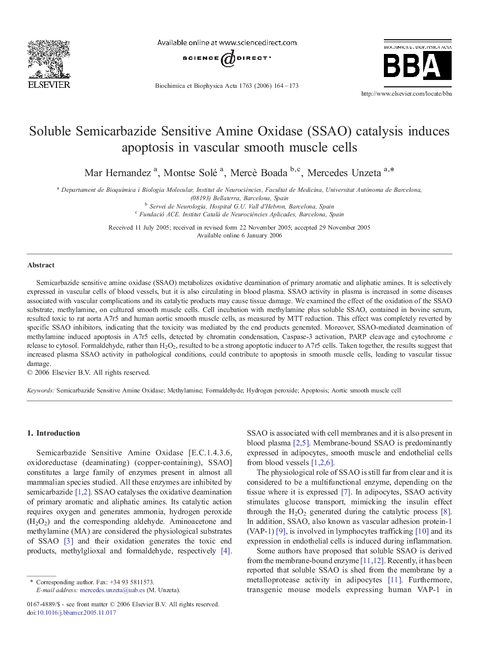 Soluble Semicarbazide Sensitive Amine Oxidase (SSAO) catalysis induces apoptosis in vascular smooth muscle cells