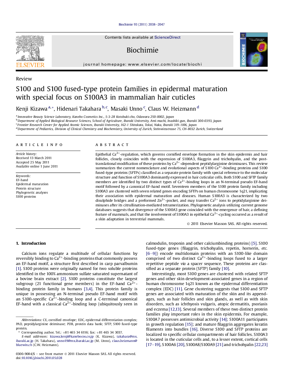 S100 and S100 fused-type protein families in epidermal maturation with special focus on S100A3 in mammalian hair cuticles