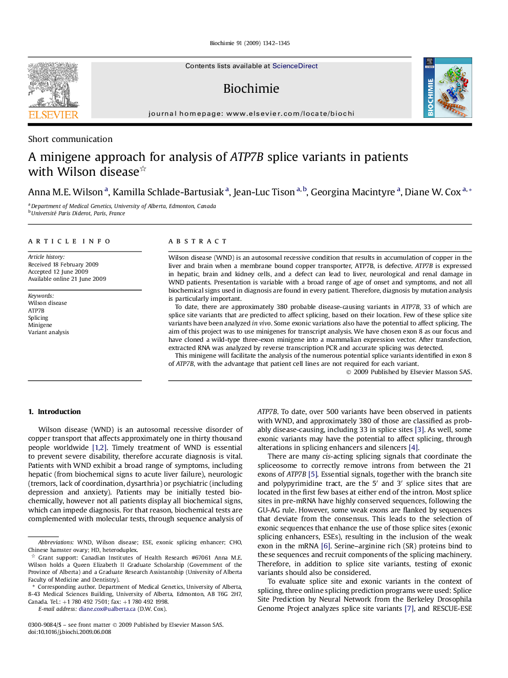 A minigene approach for analysis of ATP7B splice variants in patients with Wilson disease 