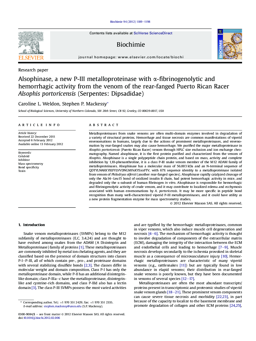 Alsophinase, a new P-III metalloproteinase with α-fibrinogenolytic and hemorrhagic activity from the venom of the rear-fanged Puerto Rican Racer Alsophis portoricensis (Serpentes: Dipsadidae)