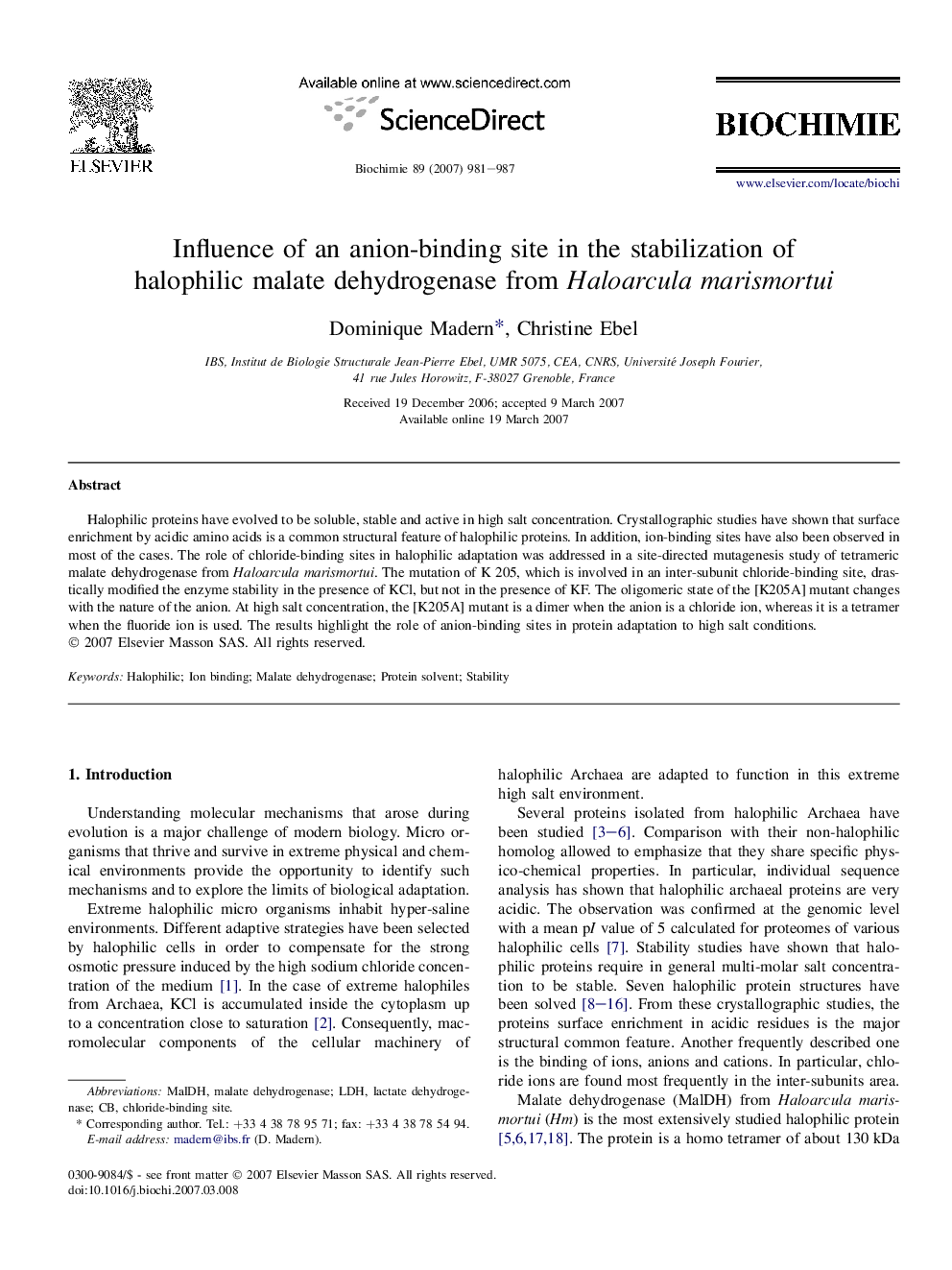 Influence of an anion-binding site in the stabilization of halophilic malate dehydrogenase from Haloarcula marismortui