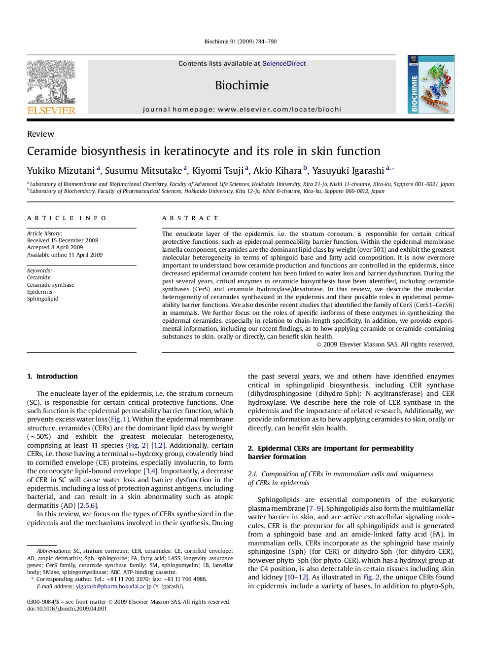 Ceramide biosynthesis in keratinocyte and its role in skin function