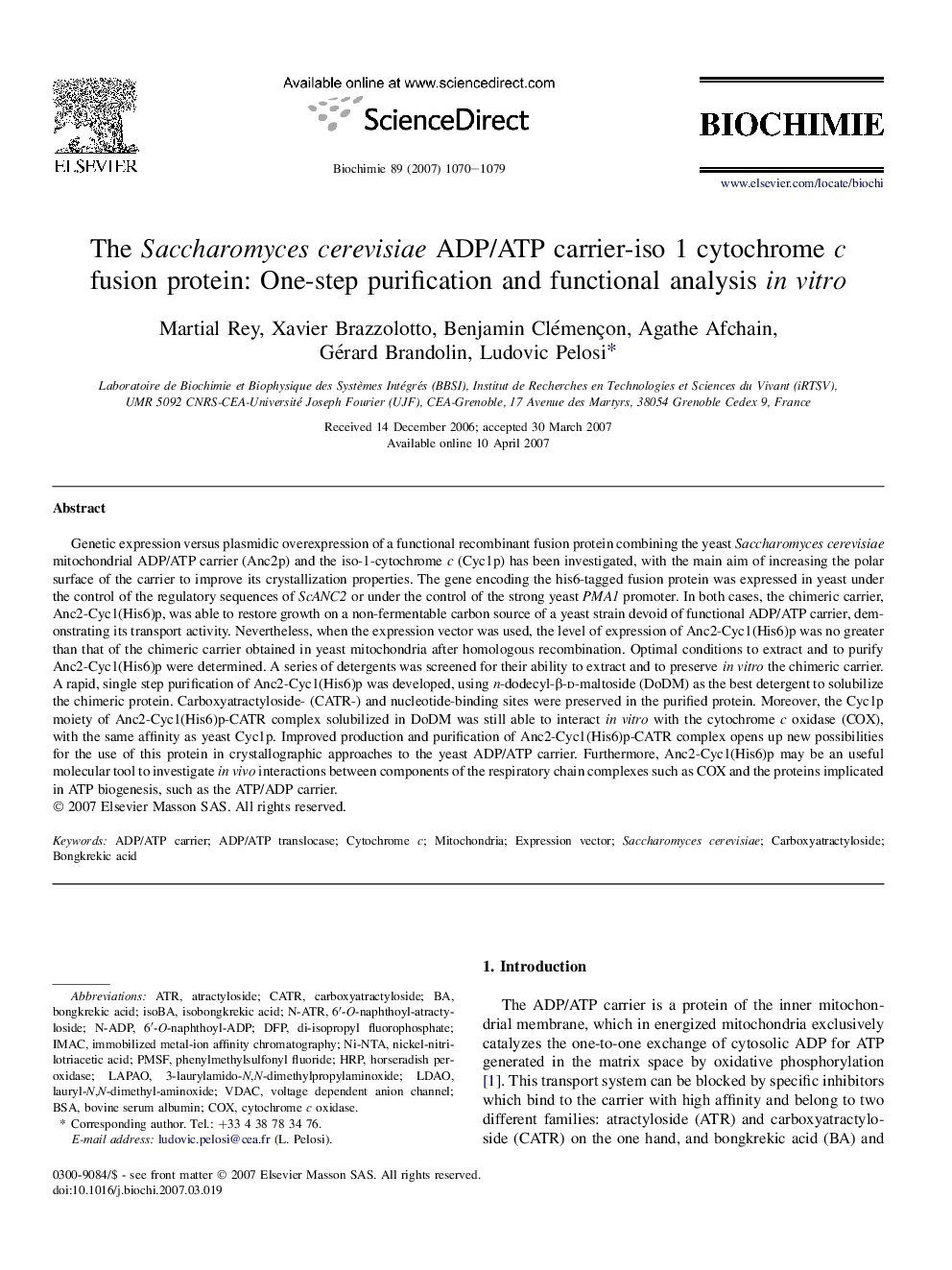 The Saccharomyces cerevisiae ADP/ATP carrier-iso 1 cytochrome c fusion protein: One-step purification and functional analysis in vitro