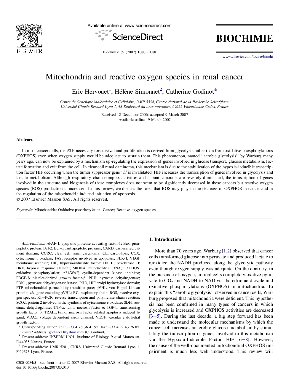 Mitochondria and reactive oxygen species in renal cancer