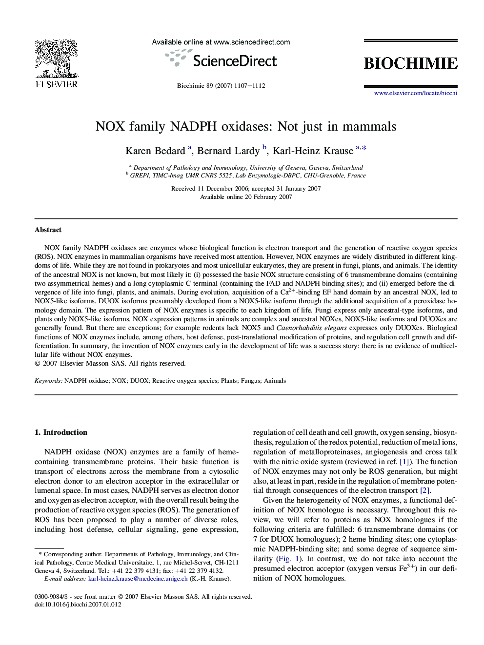 NOX family NADPH oxidases: Not just in mammals