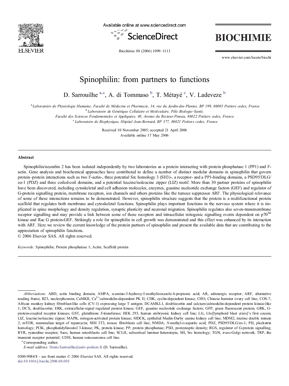 Spinophilin: from partners to functions