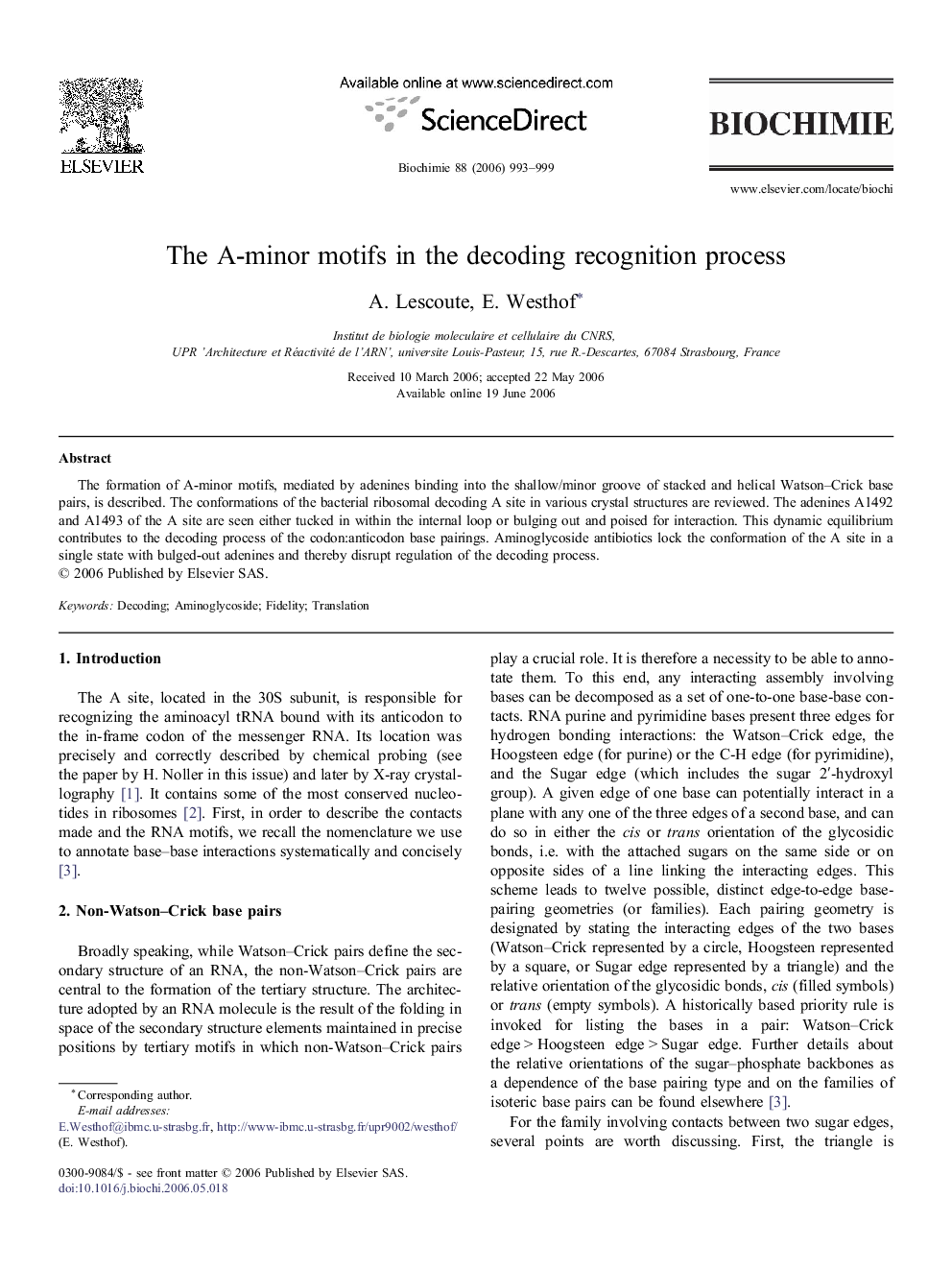 The A-minor motifs in the decoding recognition process